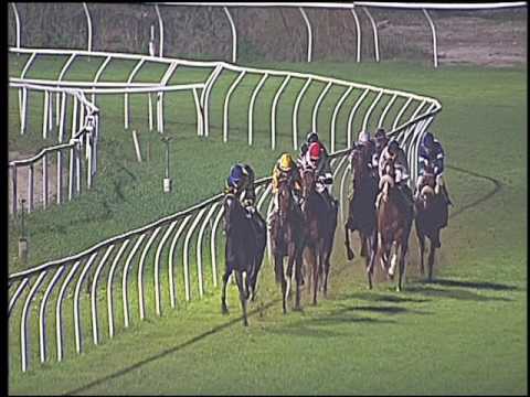 Galoppo 03/11/2016 - 5ª corsa