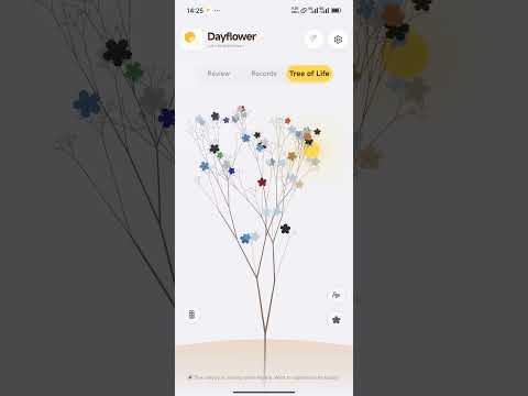 Dayflower: Minimalist Journal video thumbnail