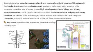 Spironolactone, K sparing diuretic, Eplerenone, aldosterone blocker, collecting duct