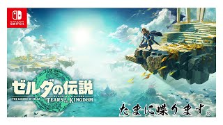 眠れない夜のゼルダの伝説　Tears of the Kingdom 実況11