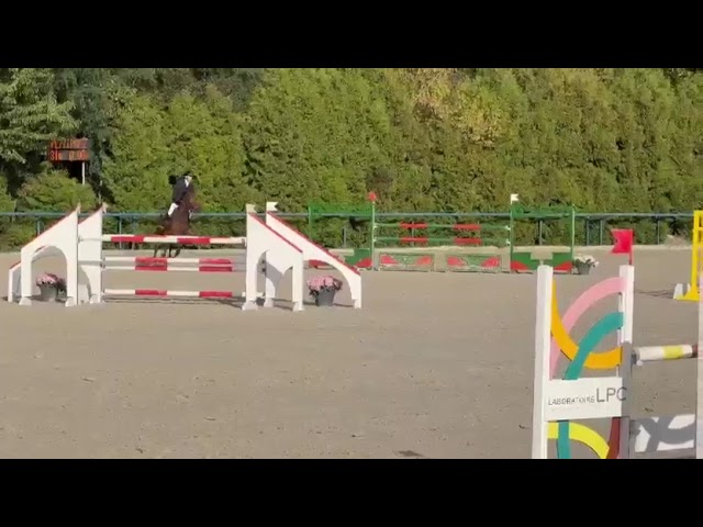Jument Amateur &Eacute;lite 