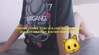 Download lagu STORY' WA l QUOTES (BABYGANG KEREN) mp3 Download lagu STORY' WA l QUOTES (BABYGANG KEREN) mp3