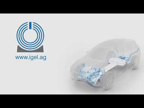 IGEL @ CADFEM ANSYS SIMULATION CONFERENCE 2017