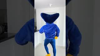 Download lagu Huggy Wuggy crashed into Kawaii Door! #shorts mp3 Download lagu Huggy Wuggy crashed into Kawaii Door! #shorts mp3