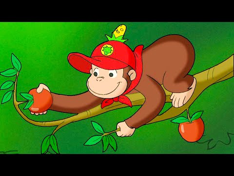 Kümmere dich um die Bäume! | Coco der Neugierige | Cartoons für Kinder