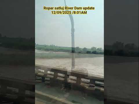 Ropar head (satluj river) #satluj#nature#ropar#rupnagar #Vlog Dayashankar vlog24...
