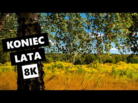 Koniec lata w 8K | Jesień, babie lato, podróże, turystyka, kwiaty