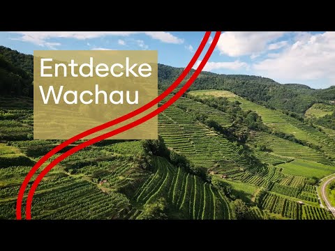 Entdeckung der Wachau: Künstlerische Bedeutung enthüllt!