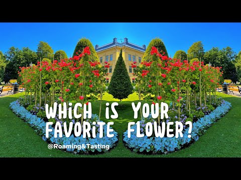 [4K] Beautiful Spring Flowers| Vlog3 | In Sweden, Germany, Malaysia, Spain, and Netherland