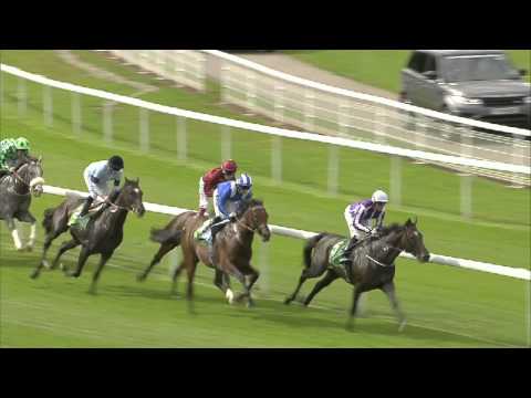 2014 Juddmonte International Stakes -  Australia - Racing UK