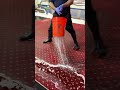 The Ultimate Bucket Drop On A Red Nylon Rug