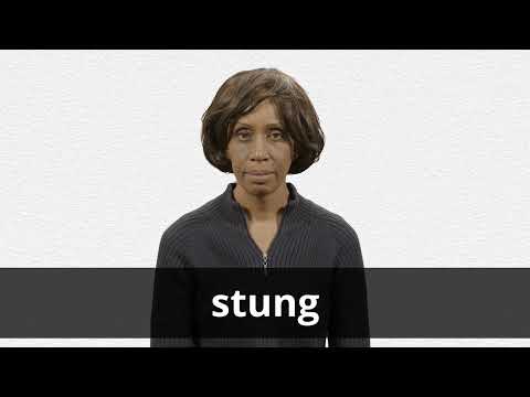 STUNG definition and meaning | Collins English Dictionary