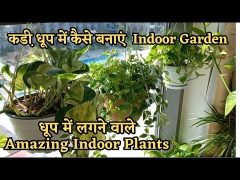 , title : 'Part -1 Unlocking the Secrets of Indoor Plant Care: Summer Routine Revealed'