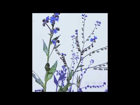 [FREE] guardin, fats'e, 93feetofsmoke type beat | "girl"