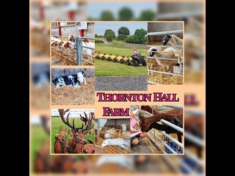 Thornton Hall Farm #farmlife #animals #animalsvideo #farming #happy #holidays #greattime
