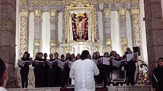 Tintinnabulum, Karl Jenkins, Coro Infantil Nervo (Adiemus, Songs of Sanctuary)