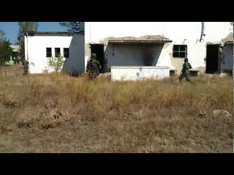 Murta , Dolj , 23.09.2012