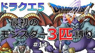 【ドラクエ5】仲間になった順モンスター3匹縛りで裏ボスエスターク撃破を目指すゲーム実況#14 ラストダンジョンとヘルバトラー【スーパーファミコン版ドラゴンクエストV・レトロゲーム実況】