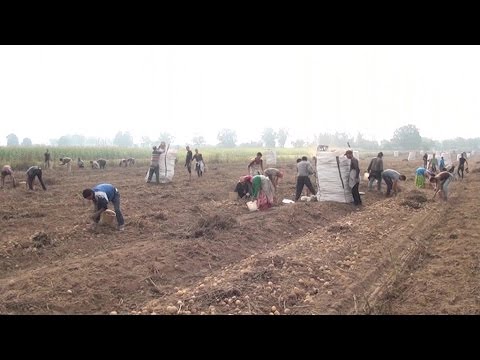 Fény Pont 2016. szeptember 15.