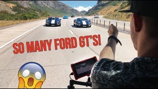 FILMING THE BIGGEST FORD GT RALLY!