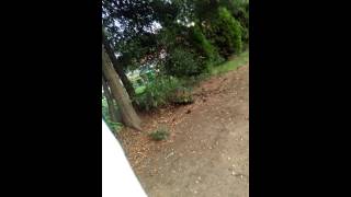 Fake bloods vs GD shit got real