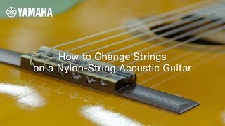 How to Change Strings on a Nylon String Acoustic Guitar