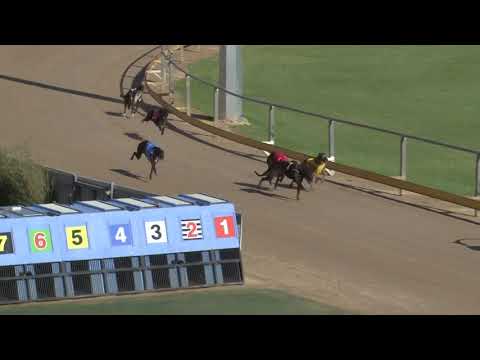 Gawler-11112018-Race-1
