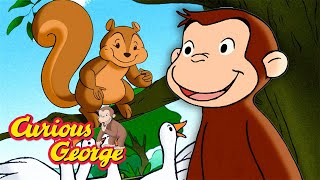Feeding the Ducks! 🐵 Full Episodes | Curious George