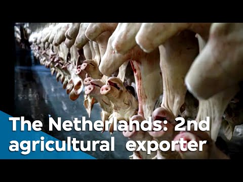 , title : 'Food for thought | VPRO Documentary'