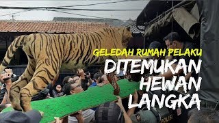 Polisi Temukan 4 Hewan Langka yang Diawetkan saat Geledah Rumah AM si Penodong Pistol ke Pelajar