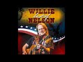Please Come to Boston by Willie Nelson
