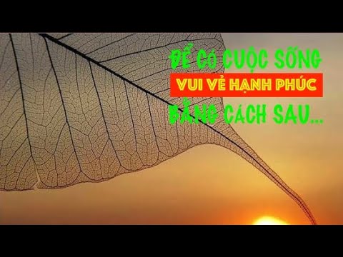 Ý NGHĨA QUY Y TAM BẢO