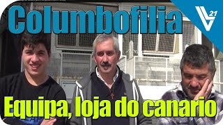 preview picture of video 'Columbofilia / Equipa da Loja do Canário / Meio Fundo / Paderne'