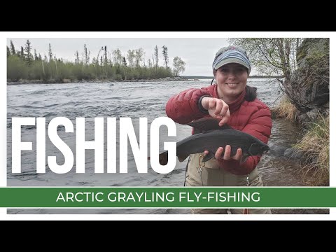 Drive-to Arctic Grayling in Saskatchewan | Fly-Fishing on the Fond Du Lac River