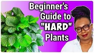 Stop Killing These 8 'HARD to GROW' Plants—Here’s How!