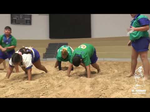 PROGRAMA Nº10 TERRERO TV C.L.U. SUR  TIAS EMISION    3-1-2022