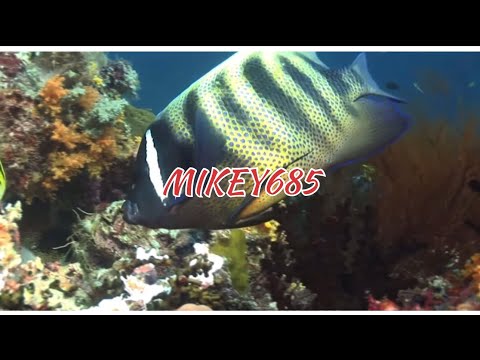 KIVA NEW SONG OUTE NOFO ATU IINEI