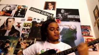 The Seems- Buysexual (acoustic cover)