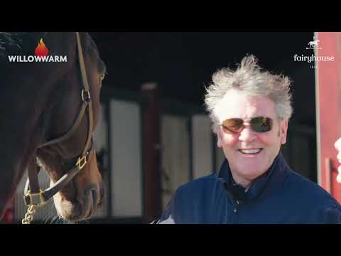 Reuniting Enda Bolger With Gilgamboa 🐴