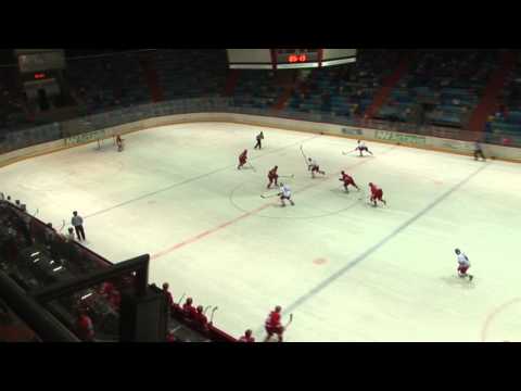 Mountfield HK - EC Red Bull Salzburg