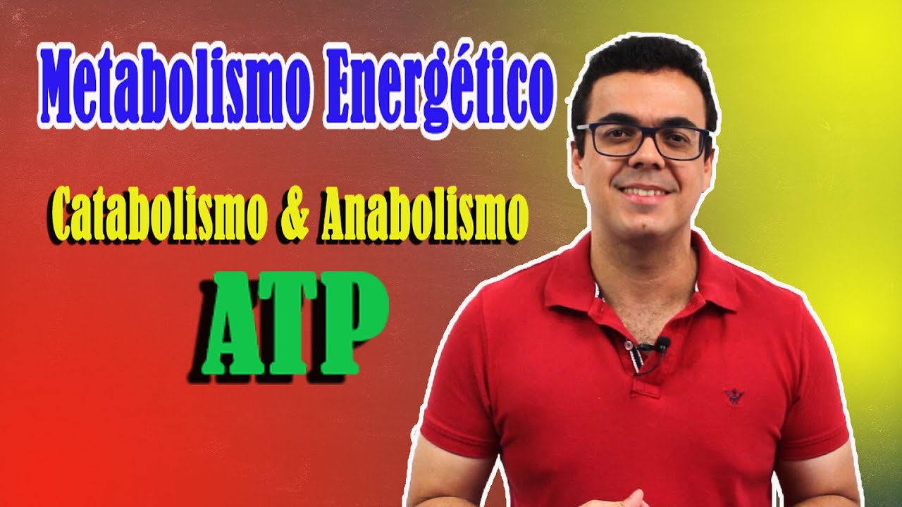 Metabolismo Energético: tipos de metabolismo e ATP