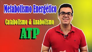 Metabolismo Energético: tipos de metabolismo e ATP