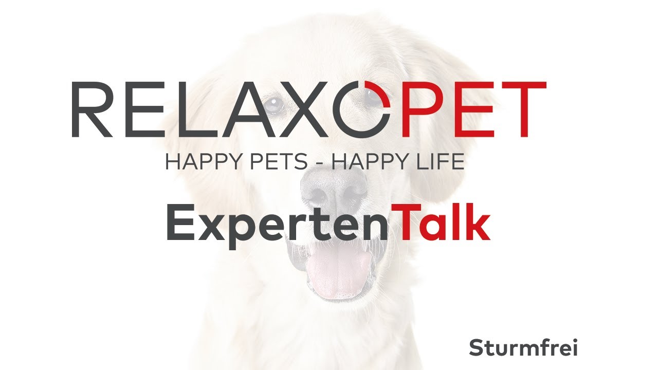 Expert Talk No. 6 - A Storm-Free Dog Life