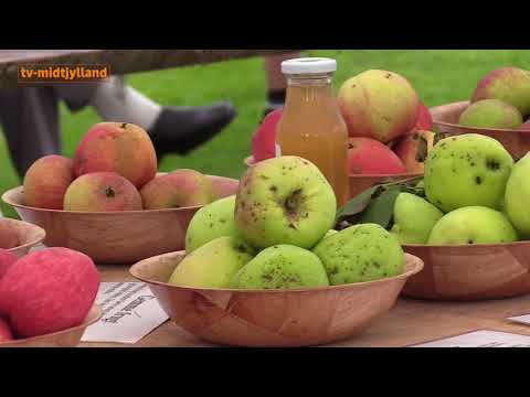 Frugtfestival fra Blomstergården - del 1