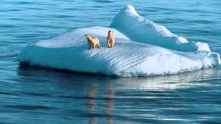 BRONCO - EL GIGANTE DE AMERICA  &quot;ARRIBA&quot;