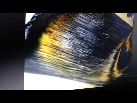 Palmolive aroma therapy