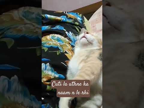 #hiphop #song #funny shorts