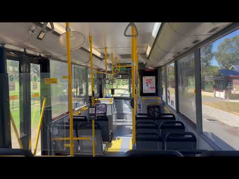 Transperth TP1568 - Mercedes-Benz O405NH (Voith Kickdown)