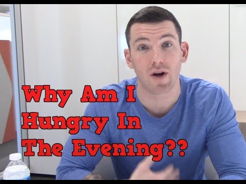 download lagu mp3 mp4 Evening Hunger, download lagu Evening Hunger gratis, unduh video klip Evening Hunger