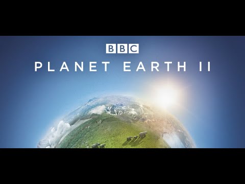 We are the Designers - Hans Zimmer, Jacob Shea, Jasha Klebe (Orchestra Score + Audio)